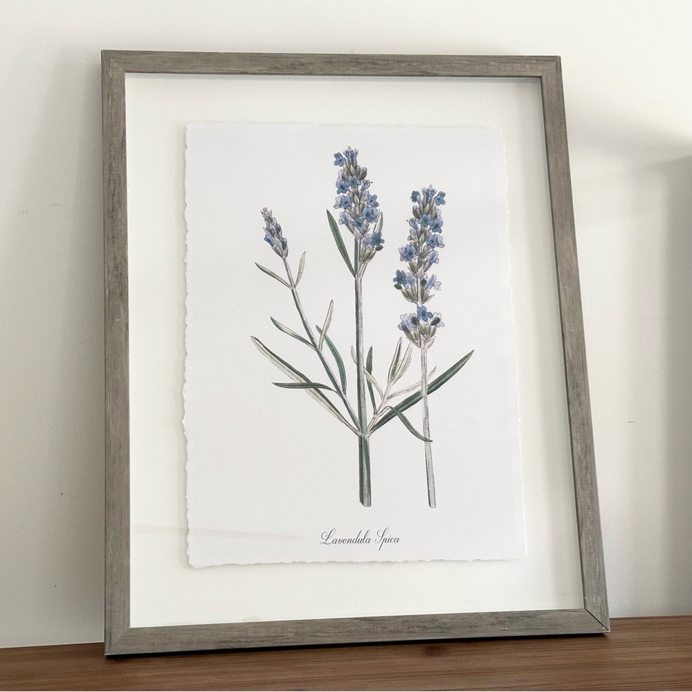 Framed Lavender Botanical Print Glass Artwork - Spring Cottage Decor / Farmhouse